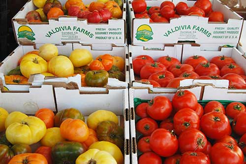 colorful tomatoes in boxes